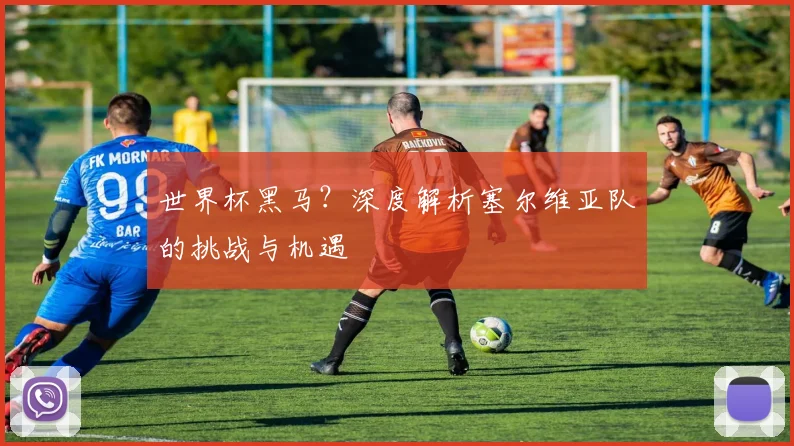 世界杯黑马？深度解析塞尔维亚队的挑战与机遇