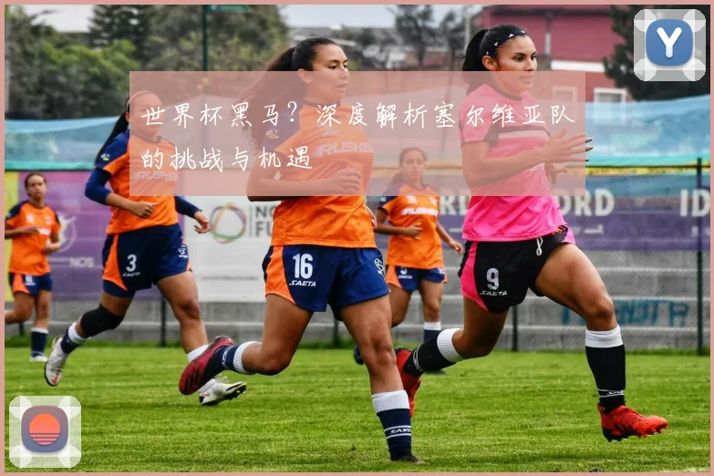 世界杯黑马?深度解析塞尔维亚队的挑战与机遇